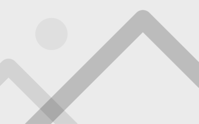 Artículo de noticia uno